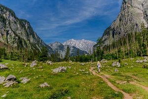 Sommerfeeling im bayerischen Voralpenland