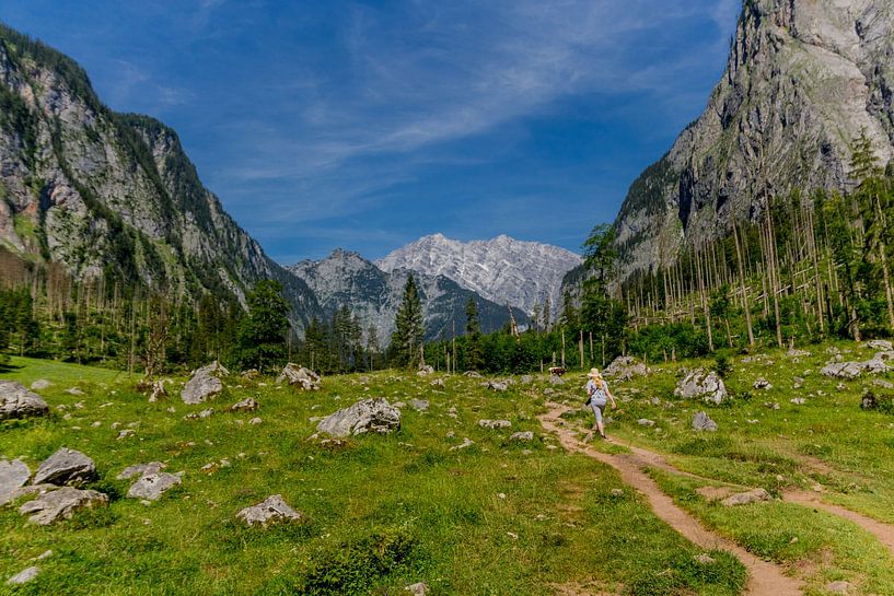 Summer feeling in the Bavarian alpine foothills by Oliver Hlavaty