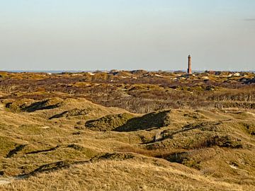 Norderney Landschaft mit Leuchtturm von Katrin May