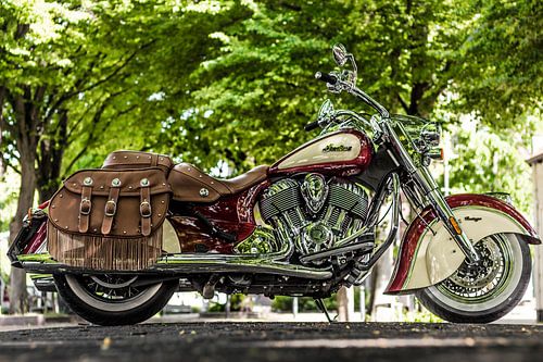 Indian Chief Vintage