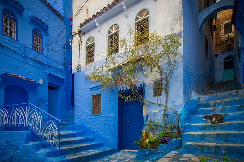 Chefchaouen - de Blauwe stad van Marokko