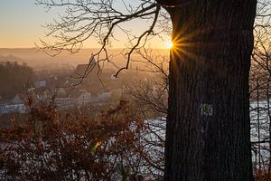 Goldenes Abendlicht 2