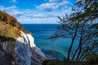 Ostseeküste auf der Insel Moen in Dänemark van Rico Ködder thumbnail