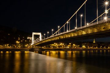 Nacht auf der Elisabethbrücke, Budapest von Ylenia Di Pietra