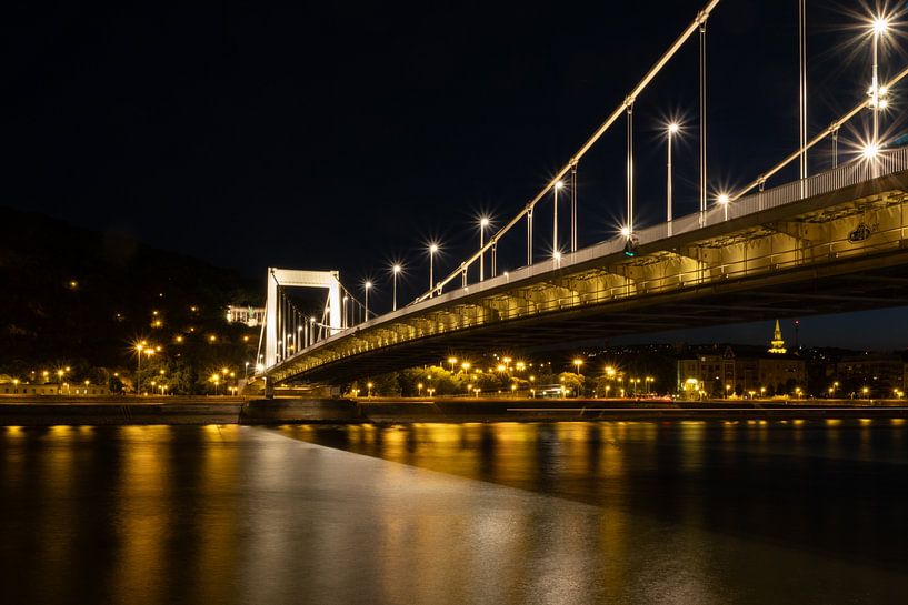 Nighttime at Elizabeth Bridge in Budapest by Ylenia Di Pietra