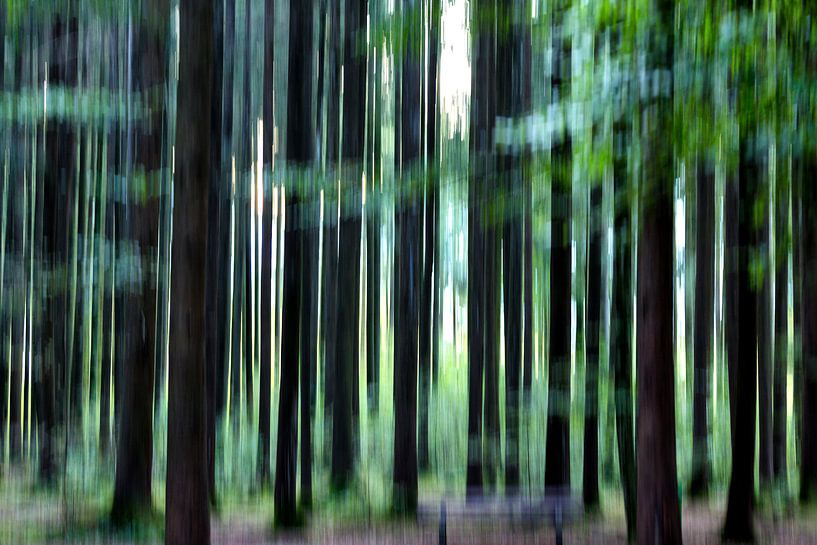 Fairytale forest, betoverde bos by Karin Luttmer