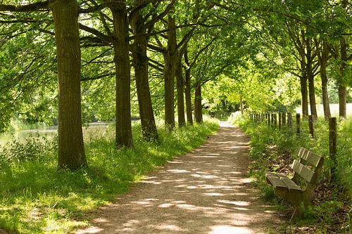 Jaagpad langs de Kromme Rijn bij landgoed Amelisweerd