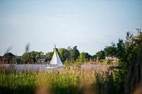 Segelboot auf der Reeuwijkse Plassen // Groene Hart, Niederlande