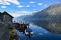 Landschap Noorwegen van Dick Hooijschuur thumbnail