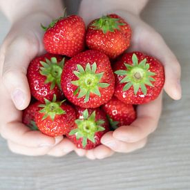 Les mains pleines de délicieuses fraises sur Inez VAN DE WEYER