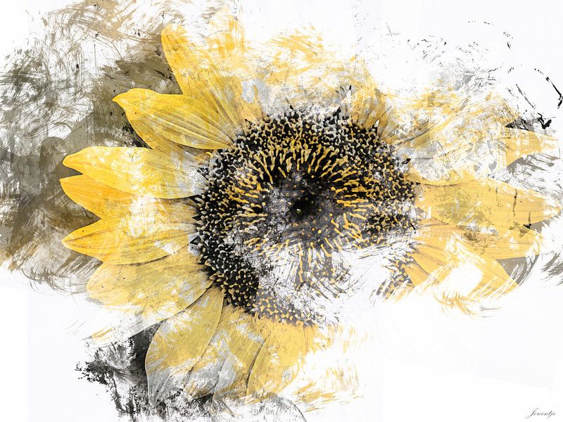 Ode to the sun by Jeroen Hofstede