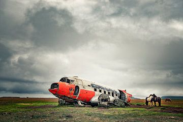 Vliegtuig wrak Douglas DC 3 Noord Oost IJsland. van Ron van der Stappen