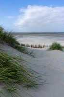 Coastline Ameland, standing version.