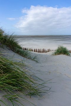 Coastline Ameland, standing version.