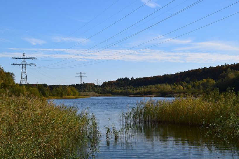 Paysage naturel néerlandais de Zanderij Maarn sur l'Utrechtse Heuvelrug par Robin Verhoef