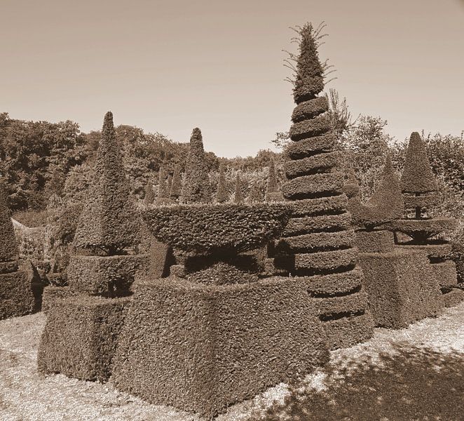 Koniferengarten in Sepia von Jose Lok