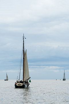 Sailing over the Wadden Sea 2 by Gijs de Kruijf