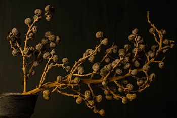 dadeltak in tinnen kannetje