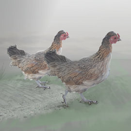 The chickens are straying from the path by Carla Baartman - Fun and Digital Art