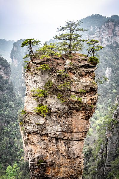 Rock pillar by Piedro de Pascale
