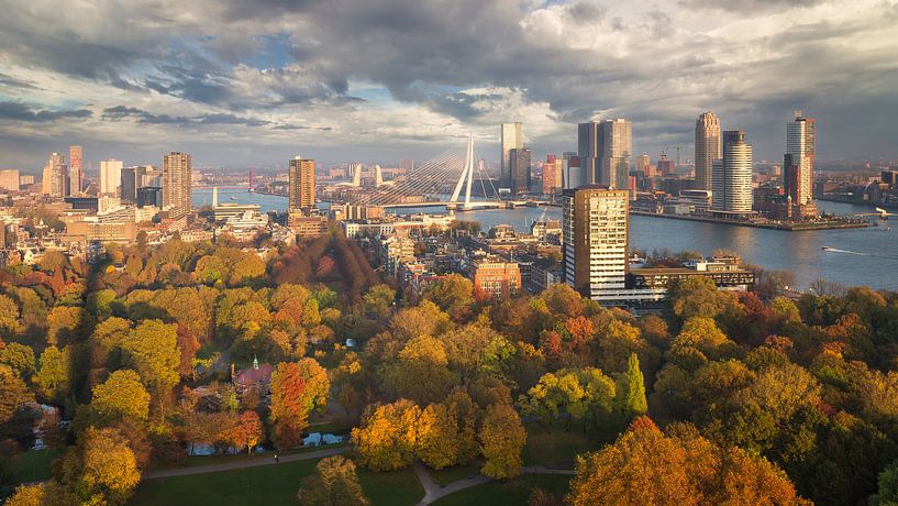 Herfst in Rotterdam van Edwin Mooijaart