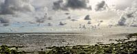 Wadden Sea at its best