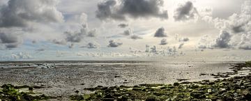 Wadden Sea at its best by Marcel Pietersen