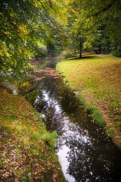 Sfeervol herfstbos met water