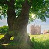Sfeervol landschap Kasteel Doornenburg van Hilda Weges