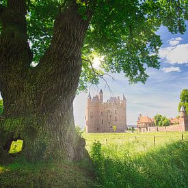 Atmospheric landscape Doornenburg Castle by Hilda Weges