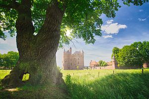 Stimmungsvolle Landschaft Schloss Doornenburg
