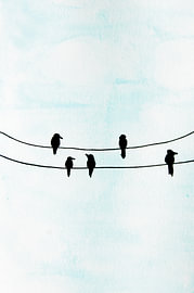 Birds on a wire