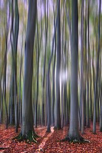 Une trace de lumière