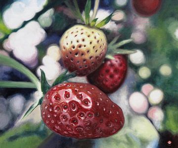 Aardbeien van Marco Roling