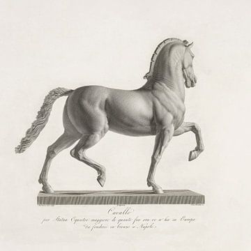 Domenico Marchetti,Standbeeld Paard II