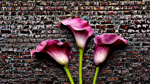 Stilleven Bloem