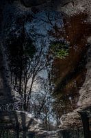 Reflection