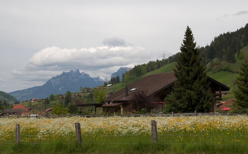 Frutigen van Incanto Images