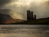 Ardvreck Schloss zum Loch Assynt in Schottland von Jos Pannekoek Miniaturansicht