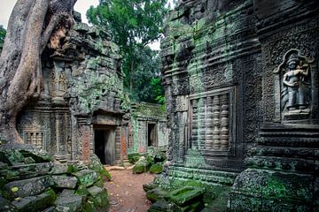 Angkor Wat van Antwan Janssen