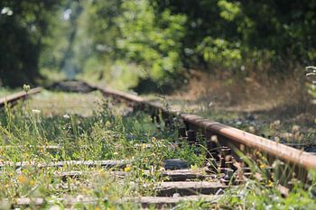 Abandoned railroad line towards the horizon