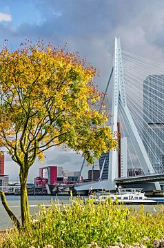 Herfst bij de Erasmusbrug van Frans Blok - foto's, kunst en andere wanddecoratie