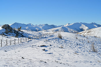 Paysage hivernal désertique avec un sentier de randonnée enneigé et une clôture de pâturage