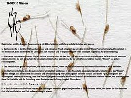 Nissen 16689.10