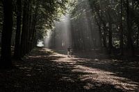 Walking in the sunlight