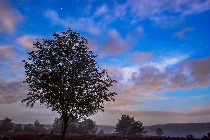 Quiet by Dieter Rabenstein