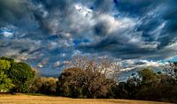 Frightening sky  by Rob Smit thumbnail