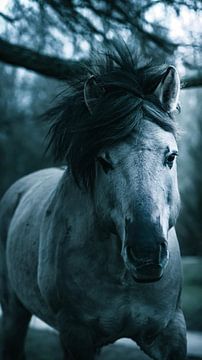 Wilde paard van AciPhotography