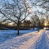 Sonnenaufgang im Kringelgrabenpark im Winter in der Hansestadt R von Rico Ködder