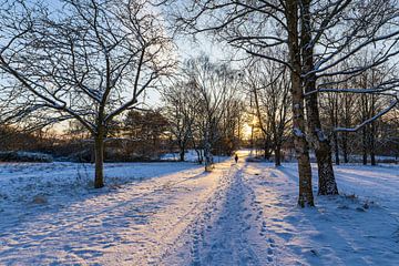 Sonnenaufgang im Kringelgrabenpark im Winter in der Hansestadt R